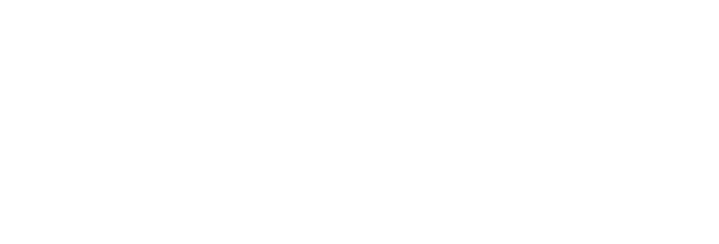 Logotype WordPress blanc standard