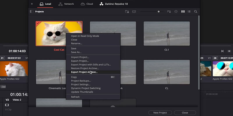 Mouse hovering over export project archive in Project Manager window in DaVinci Resolve