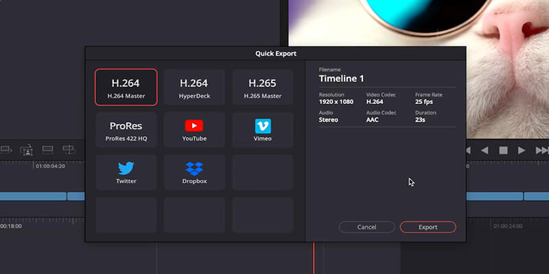 Ventana de exportación rápida en DaVinci Resolve