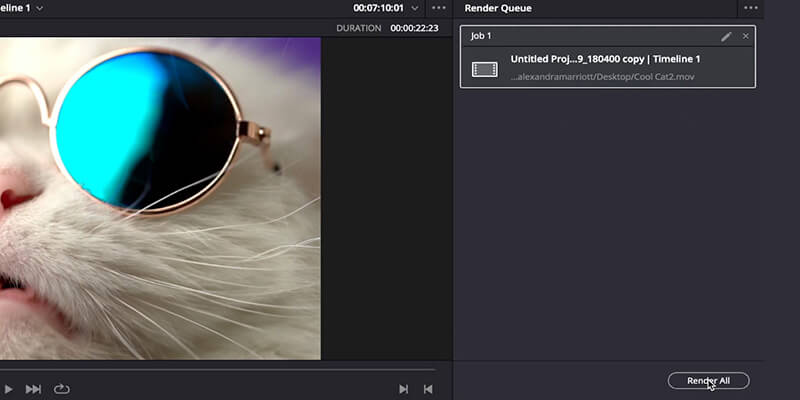 met de muis over de knop Alles renderen onder het paneel Render Queue in DaVinci Resolve.