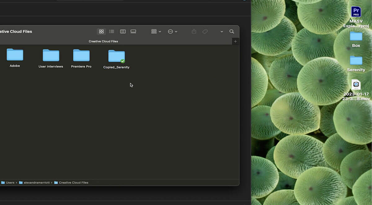 Adobe Creative Cloud Files window