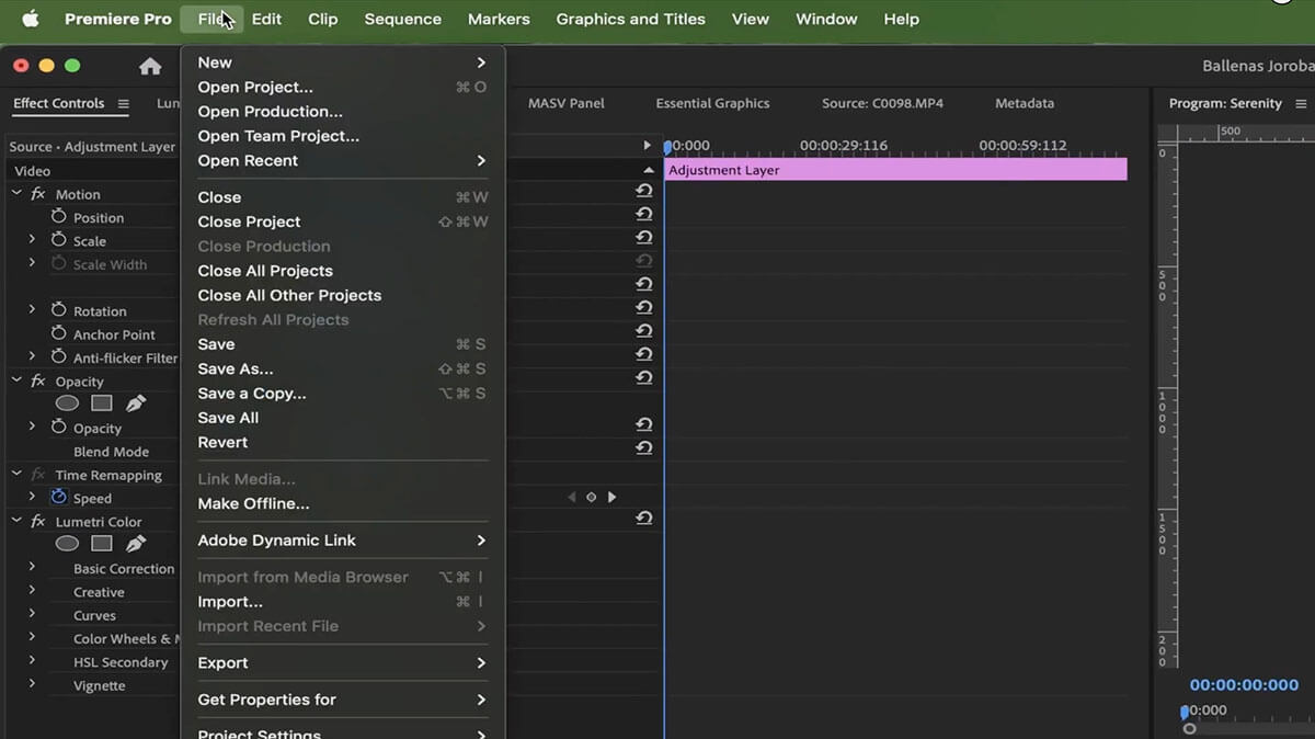 Option du menu Adobe Project Manager