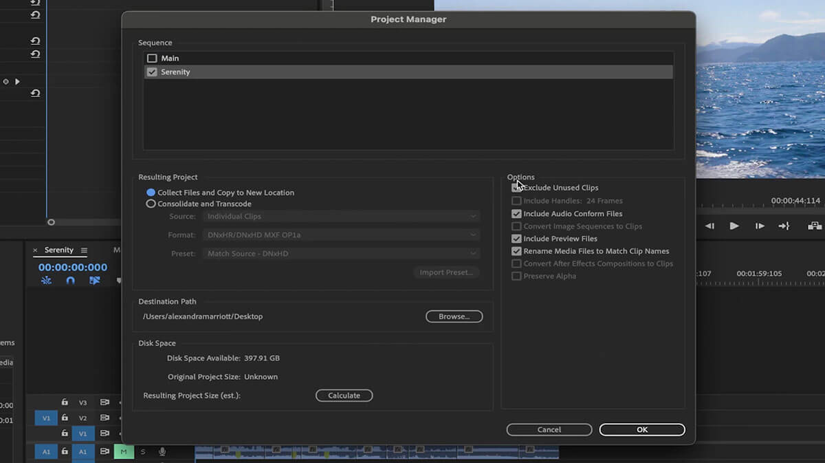 Fenêtre du gestionnaire de projet Adobe Premiere Pro