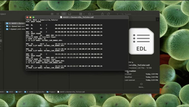 Premiere Pro To DaVinci Resolve Workflow - MASV