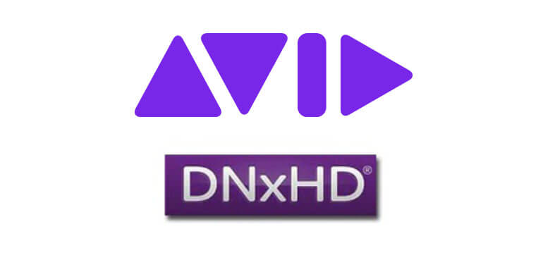 dnxhd logo
