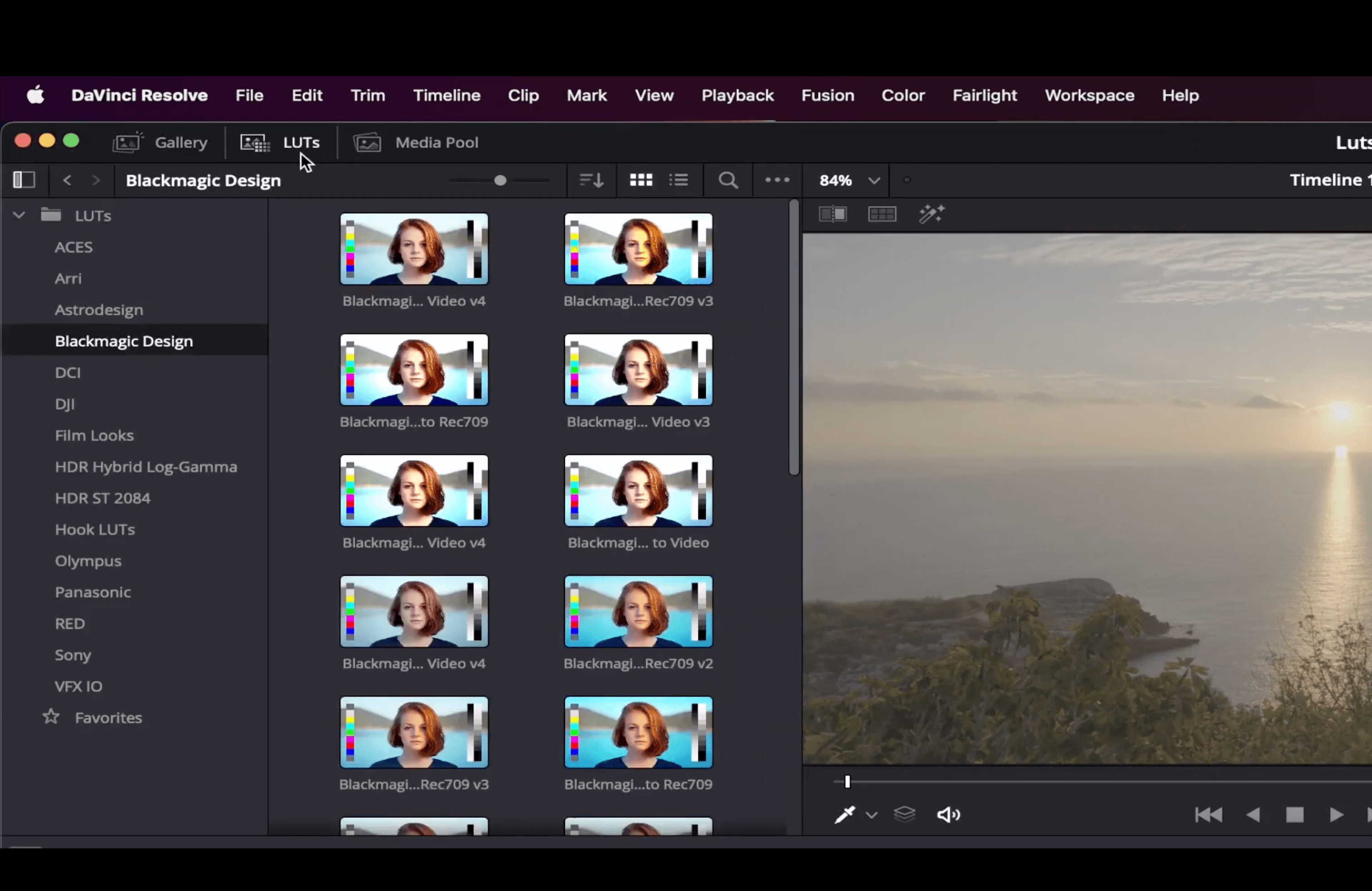 LUTs tab davinci resolve