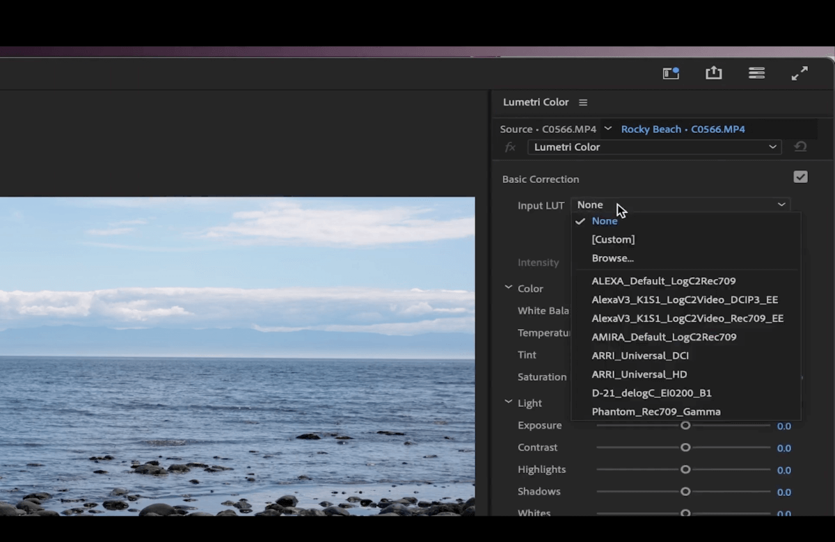 basic correction input LUT premiere pro