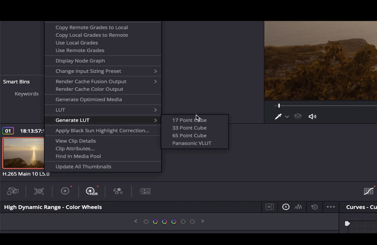 davinci resolve erzeugt LUT