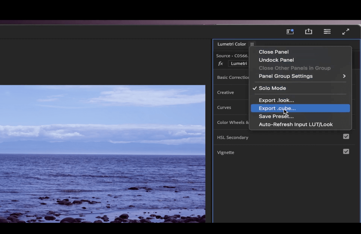 lumetri color export cube premiere pro 