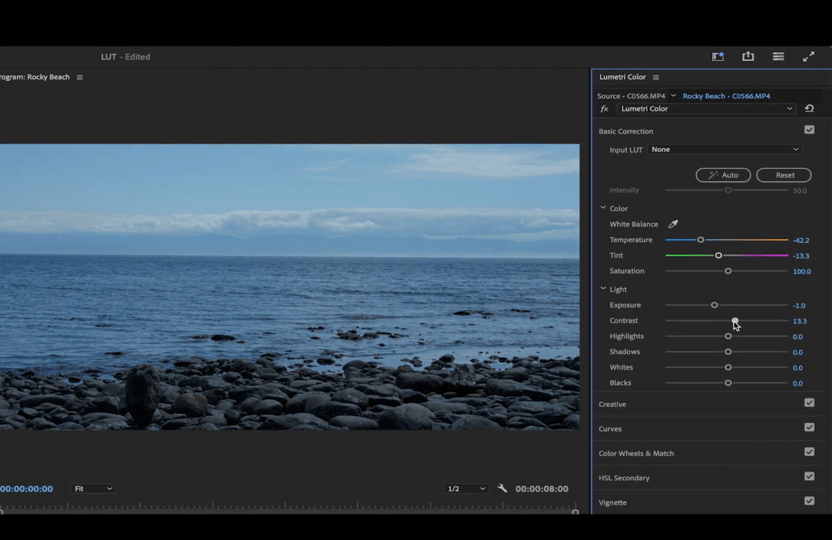 How To Create Your Own LUT In Premiere And DaVinci MASV