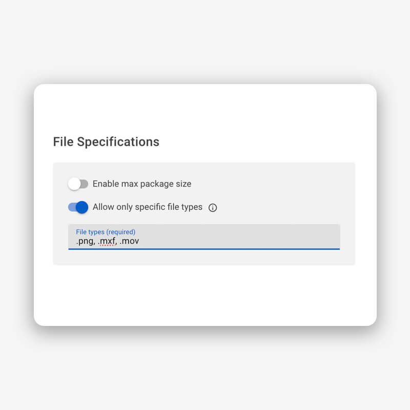 seleccionar formatos de archivo específicos con un portal MASV